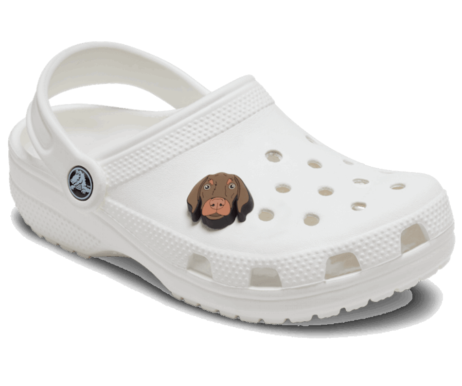 Crocs Bronny Cane